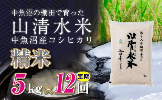 【定期便／全12回】精米5kg　新潟県魚沼産コシヒカリ「山清水米」十日町市 米