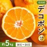【2027年先行予約】【お味濃厚】紀州有田産 の デコポン 約5kg (18玉～24玉入り・青秀以上)_ZD7001