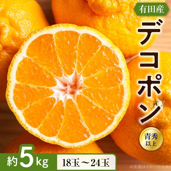 【2027年先行予約】【お味濃厚】紀州有田産 の デコポン 約5kg (18玉～24玉入り・青秀以上)_ZD7001