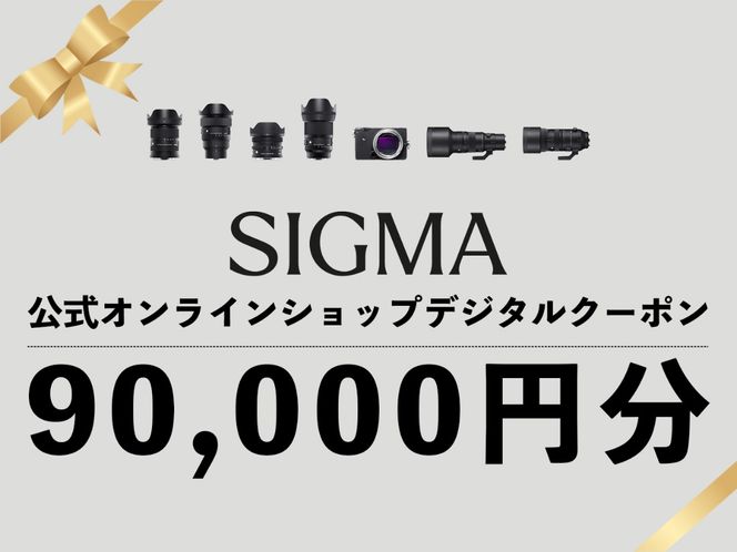 y֒򒬁zVO} SIGMA  ICVbv@JEY wN[|i90,000~j