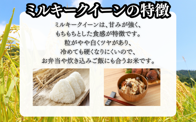 勝山の力米 ミルキークィーン 白米 ２kg×2袋 ｜ お米 米 岡山米 ブランド こめ ごはん 白米 岡山県 真庭市 人気 【mwgk001-01】