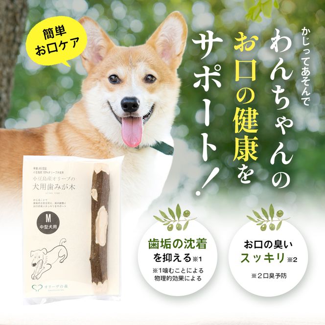 【 小豆島 】 小豆島産 オリーブの犬用はみが木 M(中型犬用) 1本入 ペット 健康 犬 いぬ イヌ 歯磨き 歯みがき ハミガキ オリーブ オリーブ木 犬用 中型犬 香川 香川県 土庄 土庄町