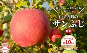 りんご 先行予約 贈答用 サンふじ 特秀 10kg フルーツ 果物 ギフト 2026年 12月発送