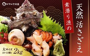 【先行予約】石川県・加賀市 活さざえ ( 天然 生食用 ) 大サイズ 2kg 8～13個 詰合せ（2025年7月上旬〜2025年8月中旬頃発送） F6P-0993