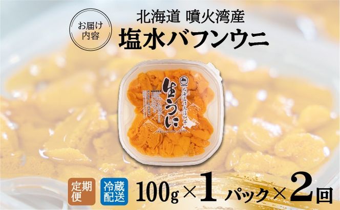 【定期便2カ月】北海道 噴火湾産 塩水 バフンウニ 100g 1パック うに ウニ 雲丹 海鮮 海の幸 魚介類 ウニ丼 お寿司 濃厚 無添加 産地直送 産直 お取り寄せ 山村水産 送料無料 【55250989】