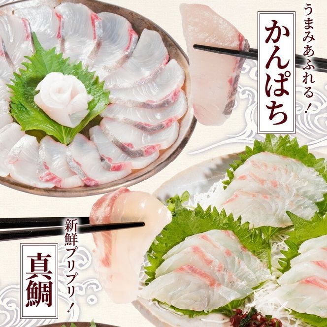 お刺身 短冊 5種セット 計650g以上 N019-YC810