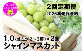 【2026年先行予約】【２回定期便】頬張る幸福感 ～緑の宝石・シャインマスカット～ 計２kg（1.0kg以上・2～3房を２回[9月上旬・下旬]お届け）　シャイン シャインマスカット ぶどう 葡萄 ブドウ 定期便 ２回 果物 くだもの フルーツ 山梨 やまなし 富士川町 シャインだけ シャインマスカットだけ