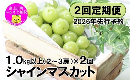 【2026年先行予約】【２回定期便】頬張る幸福感 ～緑の宝石・シャインマスカット～ 計２kg（1.0kg以上・2～3房を２回[9月上旬・下旬]お届け）　シャイン シャインマスカット ぶどう 葡萄 ブドウ 定期便 ２回 果物 くだもの フルーツ 山梨 やまなし 富士川町 シャインだけ シャインマスカットだけ