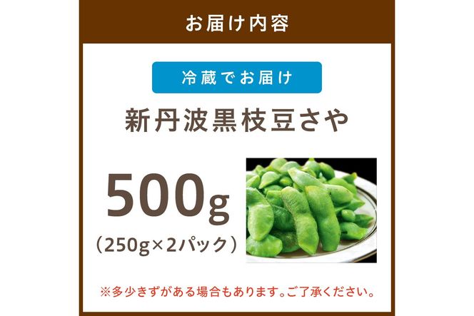 【先行予約／数量限定40】新丹波黒枝豆さや 500g（250g×2パック）（2026年10月中旬～発送） 野菜 黒豆 えだまめ 特産品 晩酌 おつまみ おかず 京都 ふるさと納税 枝豆　KU00074