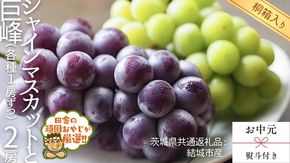 【 お中元 熨斗 付 】【 桐箱入り 】 シャインマスカットと巨峰（各種1房ずつ） 【2026年8月より発送開始】 （茨城県共通返礼品 [ぶどう]：結城市産）  シャインマスカット 巨峰 ぶどう 果物 フルーツ 季節 旬 [BI408-NT]