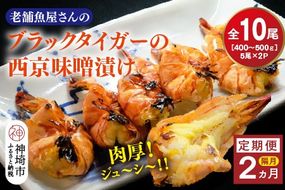 【隔月定期便2回】ブラックタイガーの西京味噌漬け 5尾×2パック×2回【海老 味噌漬け 焼くだけ 簡単調理 エビ料理 おつまみ おかず バーベキュー お弁当】(H032145)