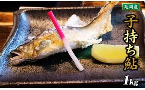 【2026年11月以降発送】【先行予約】【延岡産】小分けで便利！冷凍子持ち鮎１kg N017-YZA173