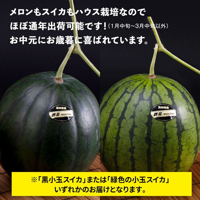 SKS025　緊急支援　高知県産 高級マスクメロン＆小玉スイカセット〈南国市共通返礼品〉　【1月～3月は気候温度不安定の為出荷不可となります。】