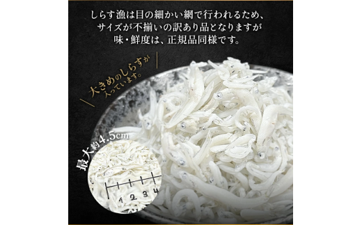しらす 訳あり 1kg 1箱 しらす干し シラス ごはん おかず チャーハン パスタ 料理 大きめ ランキング こだわり 鮮度 天塩 マル伊商店 愛知県 南知多町