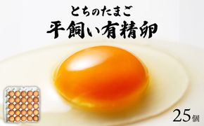 とちのたまご～有精卵～ 25個入り×1箱 | 卵 たまご 平飼い 有精卵 たまごかけごはん