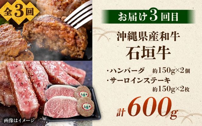 【全3回定期便】沖縄ブランド牛を堪能！贅沢お肉定期便【沖縄市】牛肉 和牛 サーロインステーキ 焼肉 赤身 沖縄市 / 肉のサブロー / お肉屋本店[BCZZ027]