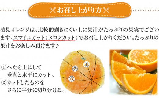 清見 オレンジ 8kg サイズおまかせ / みかん 蜜柑 柑橘 果物 フルーツ 紀伊国屋文左衛門本舗 ※2027年2月中旬～4月下旬頃発送予定 【kmtb011-r-8】