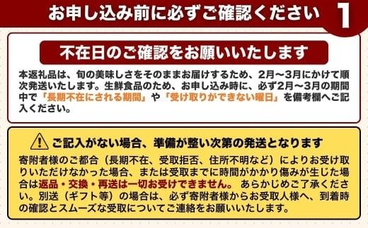 野菜 季節の野菜 詰め合わせセット (野菜6～8品目)【先行予約・2月～3月にお届け】夢叶野菜ボックス | 新鮮 産地直送 旬 国産 葉物 根菜 おすすめ 人気 野菜詰め合わせ 野菜セット 春野菜 夏野菜 秋野菜 葉物 果物 果菜 根菜 冷蔵 野菜室 さつまいも じゃがいも にんじん かぼちゃ だいこん 玉ねぎ キャベツ ブロッコリー ほうれんそう 送料無料 豊後高田市 [162453bt1]