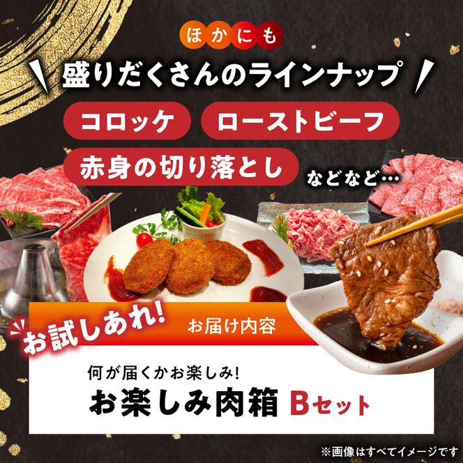 BN6136_お楽しみ肉箱 Bセット お試し ドキドキ 黒毛和牛 ハンバーグ メンチカツ ステーキ ロース ヒレ 焼肉 すき焼き しゃぶしゃぶ 盛り合わせ コロッケ ローストビーフ 食品 和歌山県 湯浅町 送料無料 