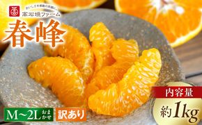 訳あり 春峰 1kg M～2Lサイズおまかせ 高石垣ファーム  K014