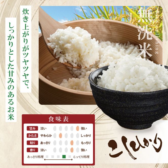 R7年産取手市産コシヒカリ 無洗米5kg|お米 米 こしひかり コシヒカリ 白米 無洗米 茨城県 取手市（BS005）