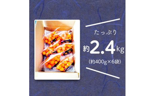 【訳あり】完熟きんかんLサイズ 約400g×6袋(2026年2月中旬発送開始) N053-YZA365