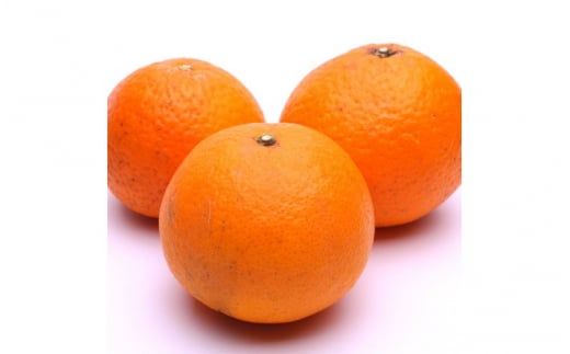 ＜2月より発送＞厳選 清見2.5kg+250g（傷み補償分）【光センサー食頃出荷】【樹上完熟きよみオレンジ・清見タンゴール・清美】【ikd165B】