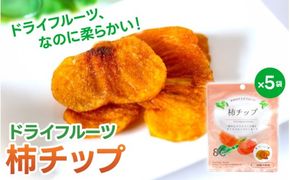 ドライフルーツ5袋セット 柿のみ ※１ケ月以内に順次発送 / 和歌山県 紀美野町 フルーツ 果物 スイーツ おつまみ 全国配送 手土産 ギフト プレゼント お土産 ジューシー 【kmf017】