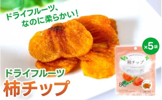 ドライフルーツ5袋セット 柿のみ ※１ケ月以内に順次発送 / 和歌山県 紀美野町 フルーツ 果物 スイーツ おつまみ 全国配送 手土産 ギフト プレゼント お土産 ジューシー 【kmf017】