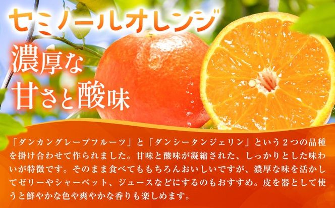 オレンジ 訳あり ご家庭用 セミノールオレンジ 約5kg 株式会社魚鶴商店《2027年5月上旬-5月中旬頃出荷予定》 和歌山県 日高町 柑橘 フルーツ---wsh_uot248_5j5c_26_12000_5kg---