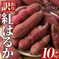 ＜先行予約受付中！2026年11月中旬以降順次発送予定＞訳あり！さつまいも「紅はるか」(約10kg) 国産 さつまいも サツマイモ 薩摩芋 野菜 根菜 青果 生芋 蜜芋 焼き芋 煮物 スイーツ 料理 おかず 【SUZUNO】akn109-03