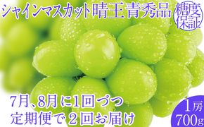 2026年予約受付中【2回定期便】シャインマスカット晴王1房 約700g 7月8月に出荷  人気 岡山県産 種無し 皮ごと食べる みずみずしい  フレッシュ 晴れの国 おかやま 果物大国 ハレノフルーツ
