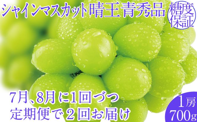2026年予約受付中【2回定期便】シャインマスカット晴王1房 約700g 7月8月に出荷  人気 岡山県産 種無し 皮ごと食べる みずみずしい  フレッシュ 晴れの国 おかやま 果物大国 ハレノフルーツ