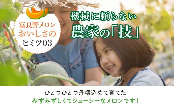【2026年夏発送】※訳あり※ 富良野 メロン 約4kg〈2玉～4玉入り〉メロン フルーツ 果物
