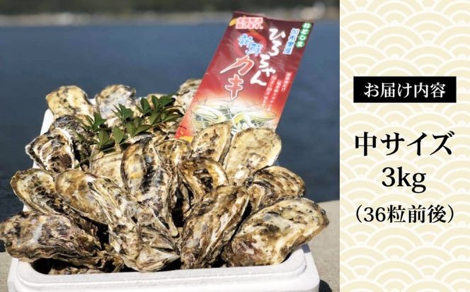 加熱用 殻付き牡蠣 3kg 真牡蠣 活牡蠣 ひろちゃんカキ / 糸島市[AJA003]