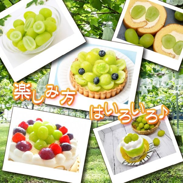 【産直もぎたて】シャインマスカット 1.3kg程度（2～3房 果実 くだもの フルーツ ブドウ 贈答用 限定）