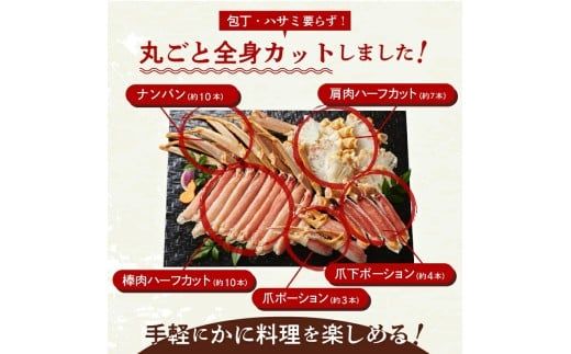 カット済み生ずわいがに 1kg（3Lサイズ）×2P_HD065-011