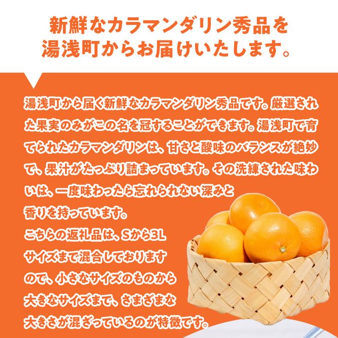【2027年先行予約】和歌山県産 カラマンダリン 約3kg 秀品_ZE6500