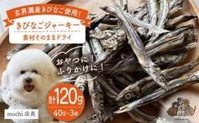 きびなご ジャーキー 40g×3袋 糸島市 / 株式会社コバヤシ【coco.kina】 [ASL009] ドッグフード おやつ きびなご ジャーキー 犬 魚 キビナゴ ドライ 無添加
