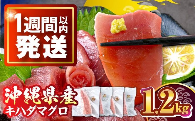 冷凍キハダマグロ 1.2kg (300g×4パック) マグロ まぐろ 小分け 冷凍 刺身 赤身 沖縄市 / 沖縄市漁業協同組合 パヤオ直売店[BCDZ007]
