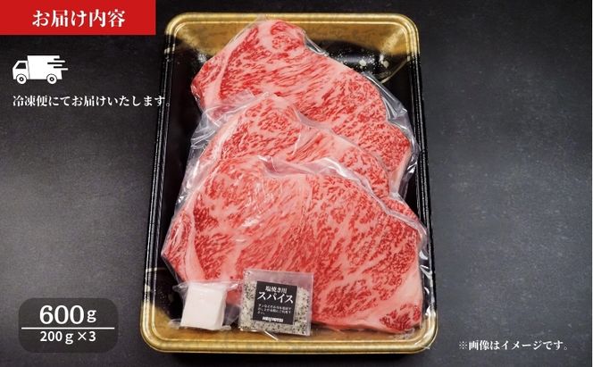 サーロインステーキ 京の肉 600g (200g×3) ブランド牛 黒毛和牛 和牛 牛 牛肉 お肉 肉 ステーキ肉 ステーキ サーロイン 最高級 冷凍 京都 京都府 南丹市
