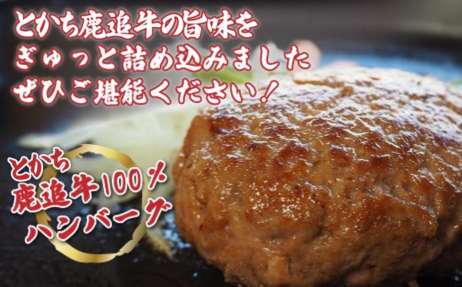 とかち鹿追牛ハンバーグセット 200g×6個 SKA007