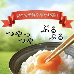 匠の卵 20個(割れ玉補償２個）7％の卵 | たまご　卵　玉子　鶏卵　生卵　プレミアム　優秀賞　愛知県　美浜町　国産　産直　卵黄　卵かけご飯