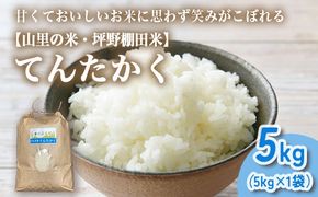 山の湧き水 寒暖差 山里 山里の米･坪野米 R7年産 てんたかく 5kg ｜新米 こめ コメ お米 おこめ 白米 精米 お弁当 おにぎり 香り うまみ あまみ 富山 魚津　※北海道・沖縄・離島への配送不可