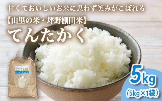山の湧き水 寒暖差 山里 山里の米･坪野米 R7年産 てんたかく 5kg ｜新米 こめ コメ お米 おこめ 白米 精米 お弁当 おにぎり 香り うまみ あまみ 富山 魚津　※北海道・沖縄・離島への配送不可