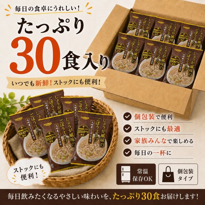 ～九州産ごぼう使用～ しょうが風味のごぼう フリーズドライスープ 30食