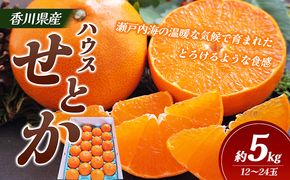 【 小豆島 】 ハウスせとか 約５kg 柑橘 せとか 瀬戸香 ハウス 果物 フルーツ くだもの 瀬戸内 くだもの 国産 香川 香川県 土庄 土庄町 