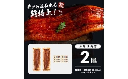 【志布志市制20周年記念】【10営業日以内に発送】【数量限定】鹿児島県産うなぎ蒲焼 名水慈鰻 超特上 2尾(1尾あたり236～270g)＜計500g以上＞ a5-352