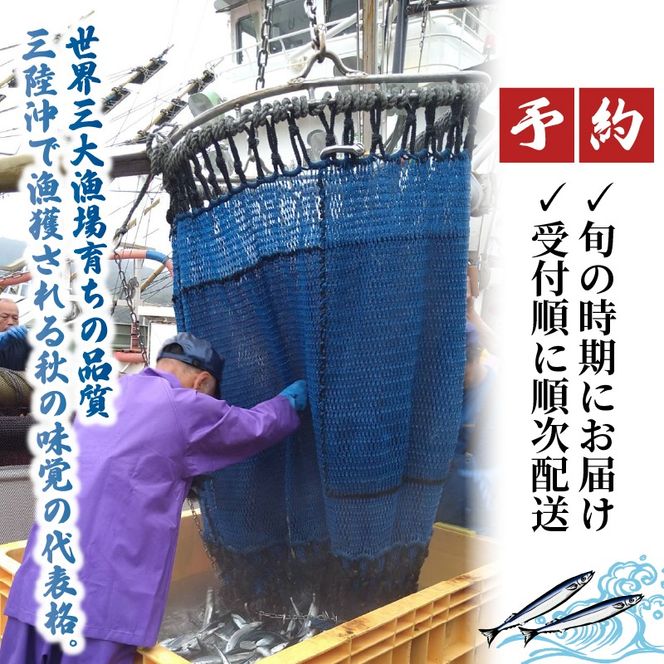 【2026年先行予約】 鮮さんま 約1kg 冷蔵 秋刀魚 限定 期間限定 旬 簡単調理 焼き魚 煮魚 フライ おかず おつまみ 晩酌 米 丼 海産物 海鮮 魚介 魚介類 三陸 岩手県 大船渡市 [daisei006]