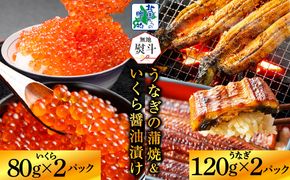 G1559-1 【無地熨斗】五郎藤 国産 関西風 地焼き有頭旨鰻 120g×2尾＆いくら醤油漬け 80g×2パック